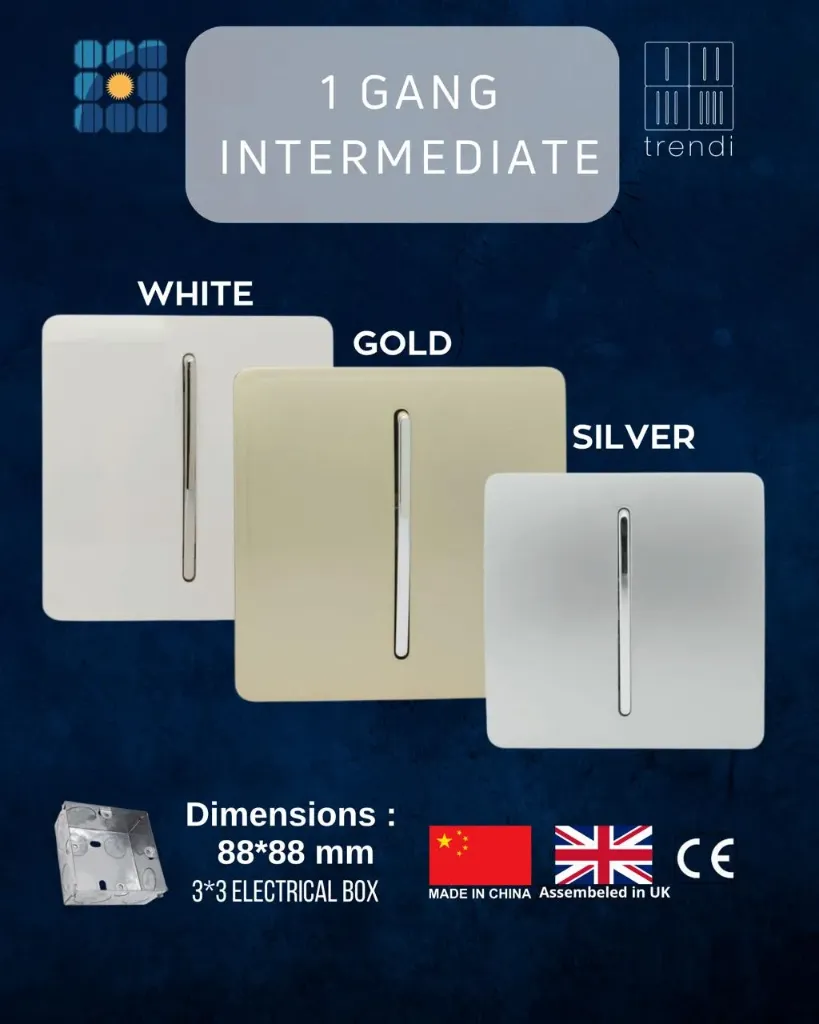 1 Gang Intermediate (White)