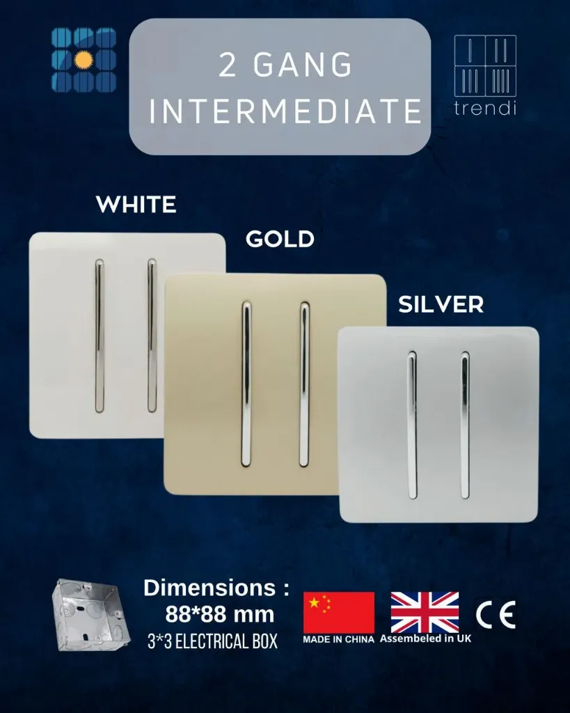 2 Gang Intermediate (White)